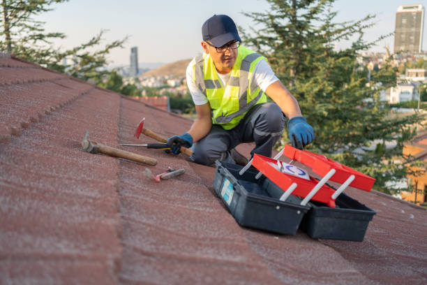 Professional Siding in Raymore, MO